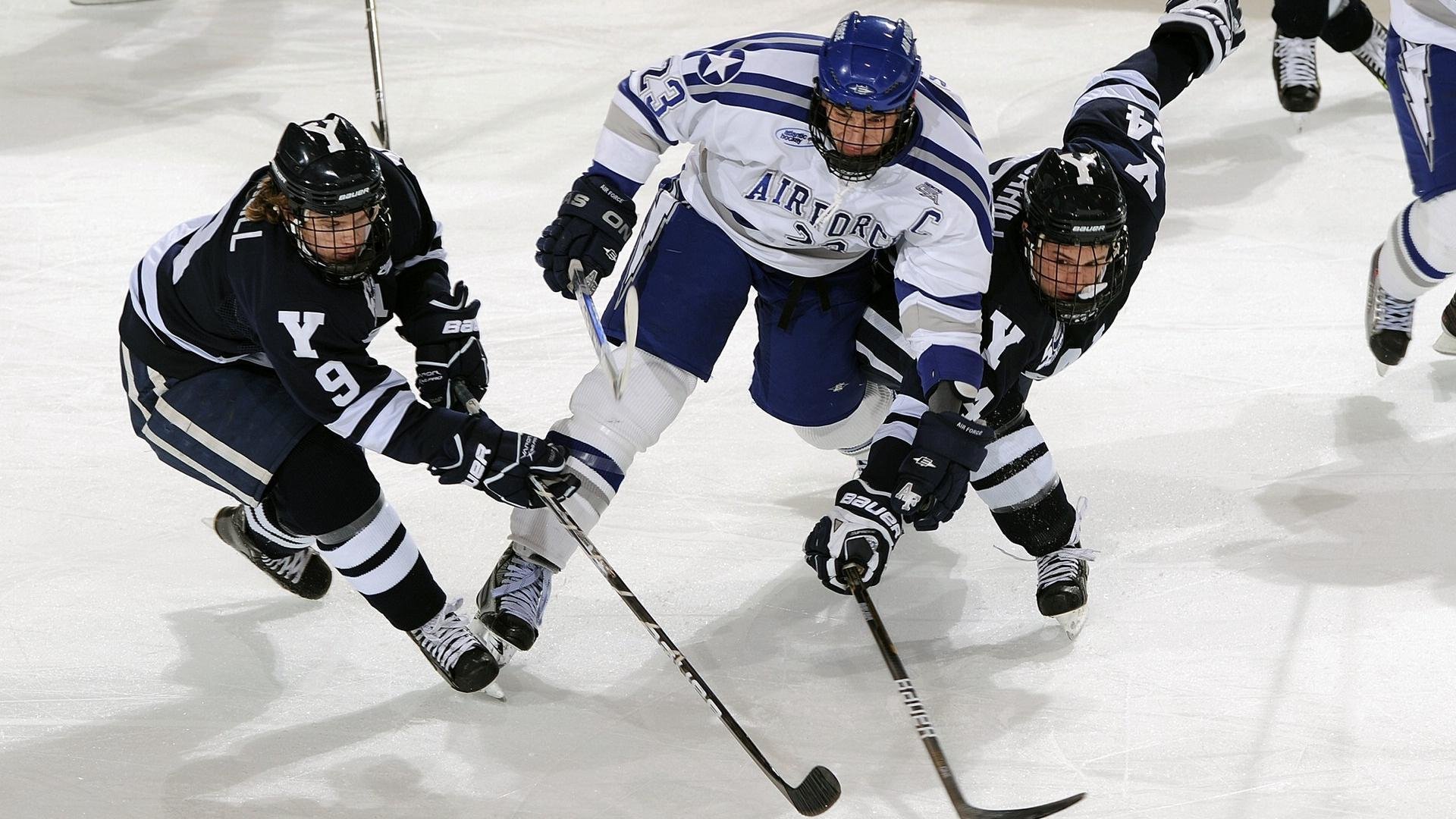 高校篮球引进先进训练理念促进技术创新，篮球人才培养方案