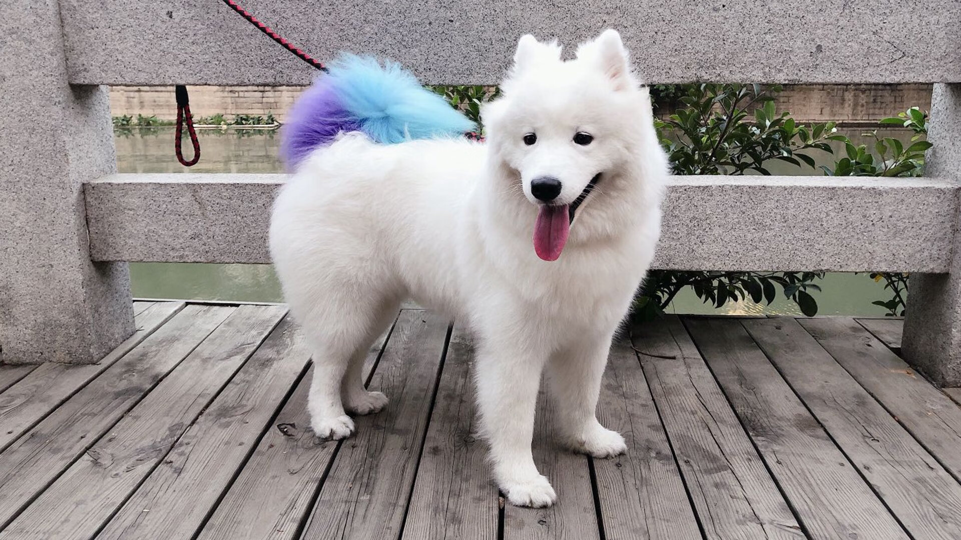 爱游戏体育官方网站-WRC节能环保：绿色科技在拉力赛中的应用，wrc拉力赛百度百科